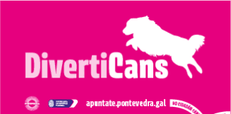 DivertiCans - Cursos educación canina
